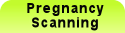 Preg Scan